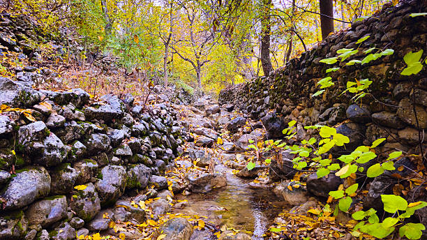 A shallow autumn stream winds through garden trees with yellow and orange foliage, surrounded by natural rocks and fallen leaves under a soft canopy of branches.Hawraman Takht, Kurdistan