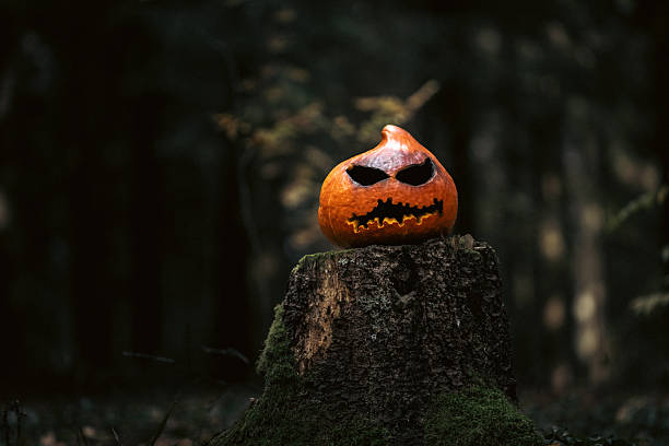 A carved orange pumpkin with a menacing face sits on a mossy tree stump in a dark forest, creating a eerie, autumnal Halloween mood.
