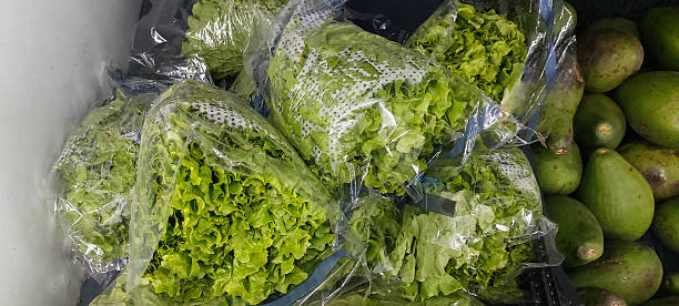 istock Fresh green lettuce in plastic bag on the counter 2236920398