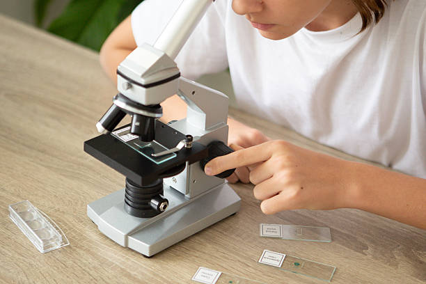 istock Girl studies biology at home while examining plants with a microscope during back-to-school season 2236922132