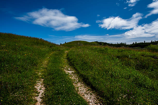 istock 2024 07 20 Asiago landscape 10 2236923443