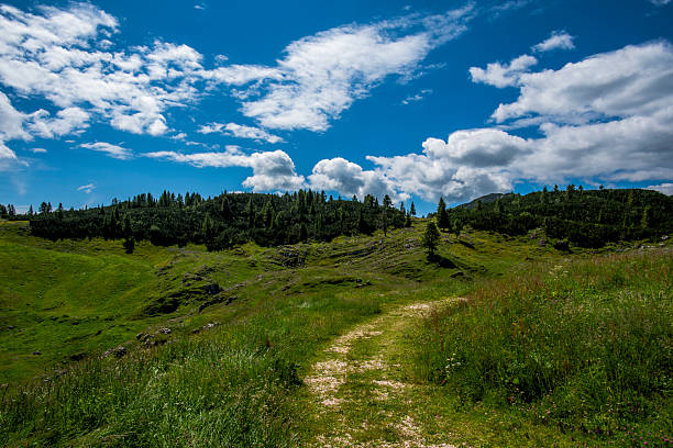 Scenic hiking trail in Asiago crossing green alpine hills under blue sky with white clouds. Concept of outdoor adventure, eco tourism and unspoiled Italian Alps nature.
