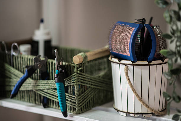 Close-up of essential dog grooming tools including combs, scissors, and brushes neatly organized in a box and small bucket on a shelf in a modern pet salon.