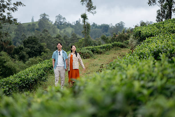 istock Couple Exploring Scenic Tea Plantation in the Hills 2236924155