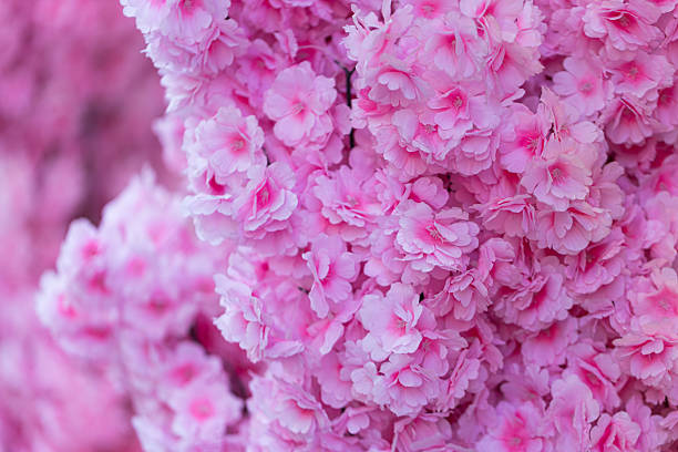 istock Abstract Pink Flowers Background 2236924843