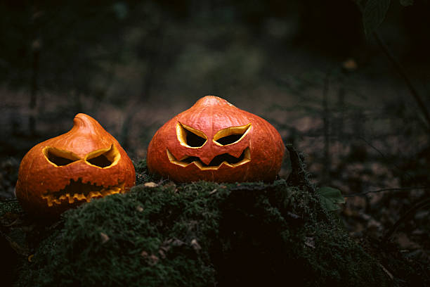 Halloween Pumpkins with Ugly Faces in Dark Forest.