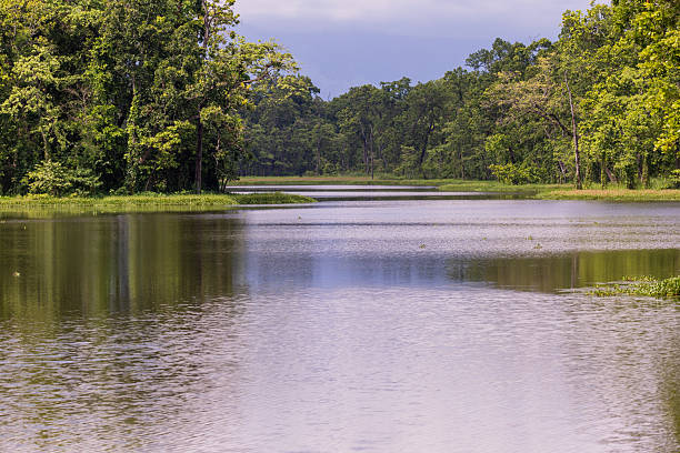 istock Serene Forest Lake with Reflections in Nature in Chitwan National Park 2236925973