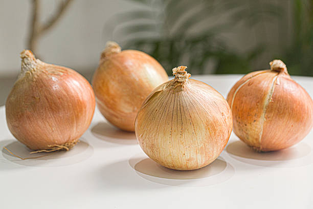 istock stacked raw onion with skins on bamboo basket. 2236931508