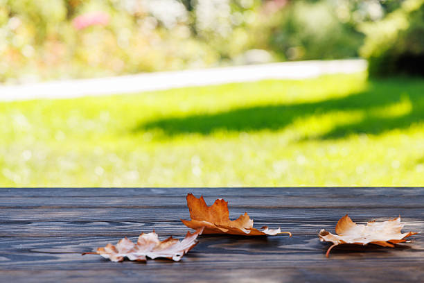 Wooden table with autumn leaves and sunny bokeh background and copy space for product display