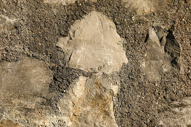 Textured stone wall with rugged natural rocks embedded in concrete mortar, showcasing raw materials and striking contrasts in texture.