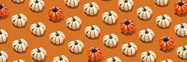 istock Pumpkins Halloween pattern long photo orange white 2236936142