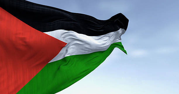 istock Palestine national flag waving on a clear day 2236942486