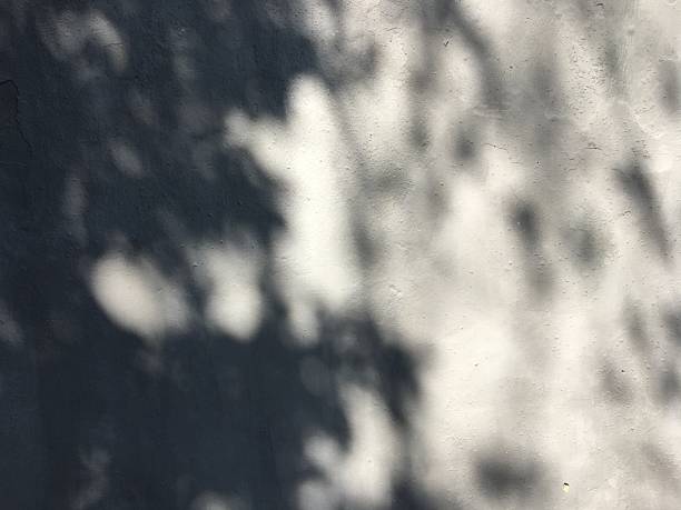 istock Shadows of tree leaves and branches on a grey wall. 2236943092
