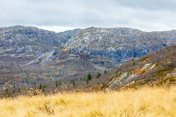 Wide view of mountain landscape showcasing rugged terrain, golden grass, and vibrant autumn foliage under a dramatic cloudy sky, evoking a sense of tranquility and natural beauty