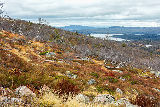 Expansive view of rugged terrain featuring autumn foliage, rocky outcrops, and distant water, capturing the essence of nature beauty in a serene landscape
