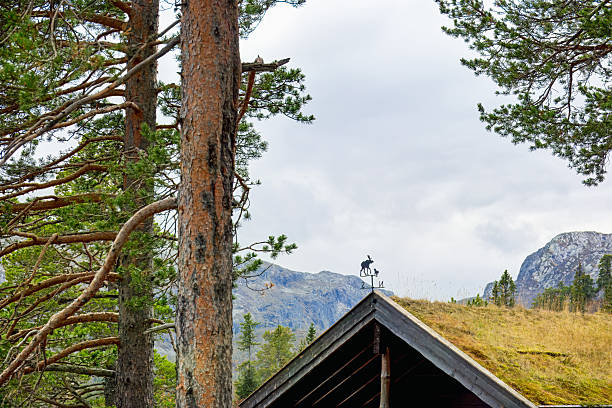 Rustic cabin roof features a weather vane, framed by towering trees and distant mountains, creating a serene autumn landscape filled with natural beauty. Norway