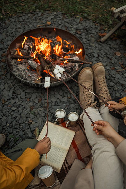 istock Family roasting marshmallows over a campfire on a cozy autumn evening. 2236954011