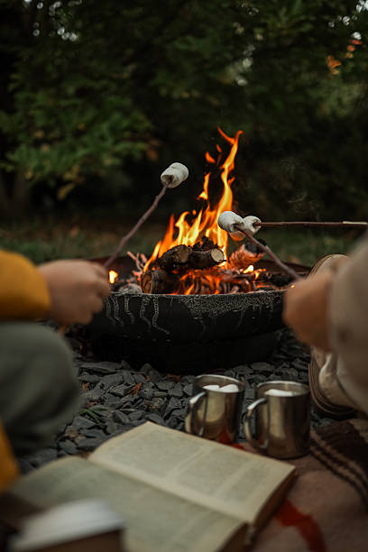 People roasting marshmallows over a campfire