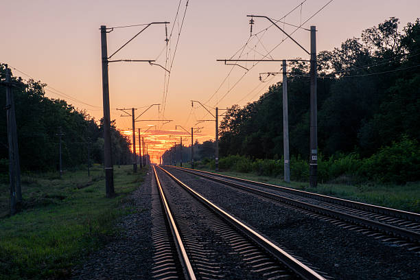 Railroad tracks stretching into the distance on a summer evening