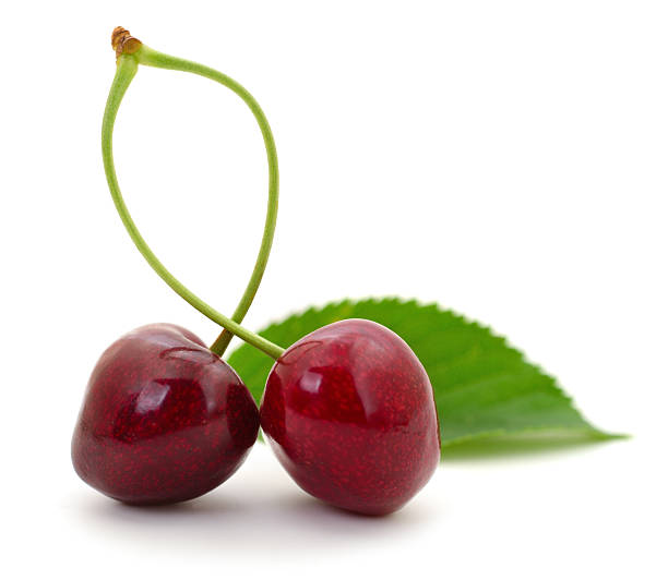 Fresh cherries background. Cherry background