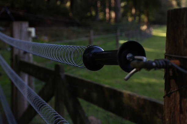 istock tension on fence for wolf 2236970122