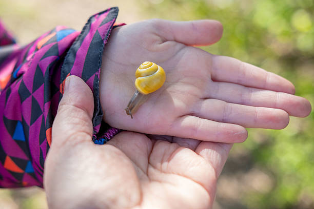 Happy Blonde Woman Smiling at a Bug on Her Hand - Stock Photo