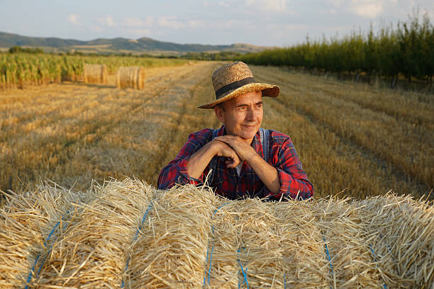 istock Senior Farmer Enjoying Peaceful Moments in Wheat Field 2236974870
