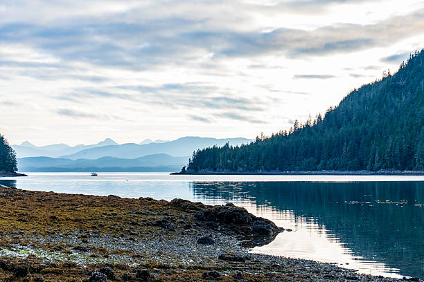 Sailboats at anchor in Bartlett cove at sunset in Glacier Bay National Park