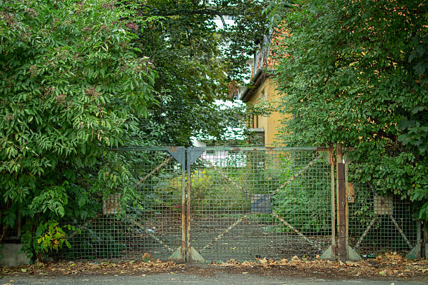 istock Overgrown gate surrounded by greenery in a quiet residential area during late afternoon 2236985209