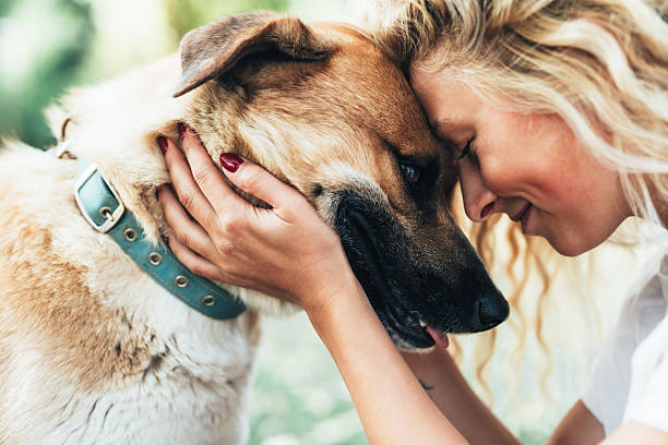 A touching moment of emotional connection as a young woman lovingly presses her forehead against her dog’s, showing the deep friendship, trust, and affection between them.