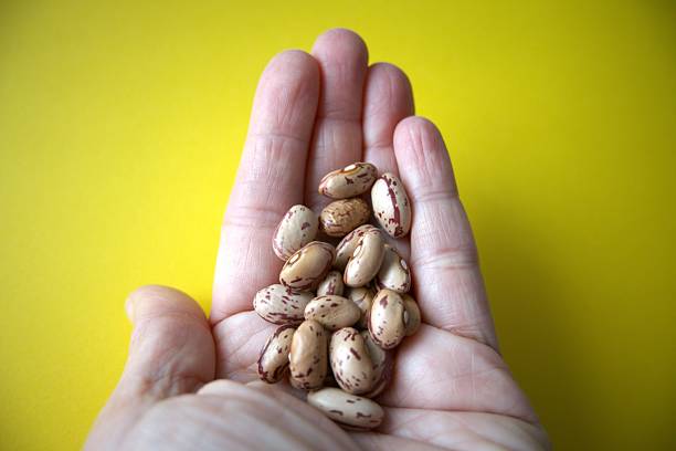istock Beans in hand on yellow background 2236989153