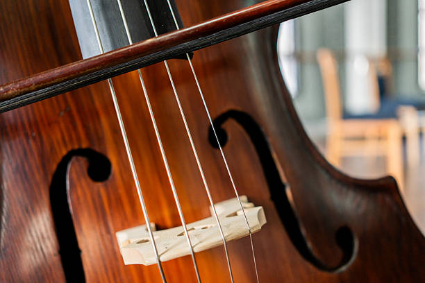 Close-up of a cello on a music studio