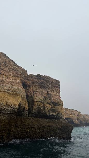 istock Cliff in Algarve coast 2236994707