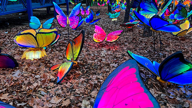 Colorful illuminated butterfly decorations creating a magical christmas park in torrejón de ardoz, madrid