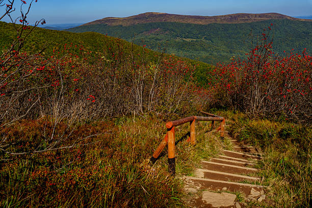 A path with wooden steps and autumn shrubs emerges from the foreground, opening onto long green ridges and a deep-blue mountain horizon.