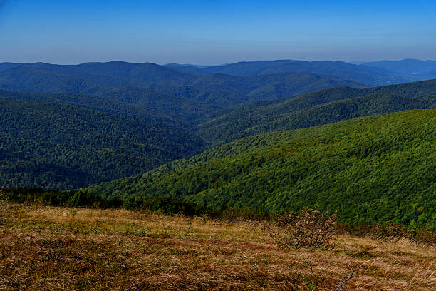 istock Layers of Blue-Green Mountain Ridges with Windswept Grass Plateau in Foreground 2236998155