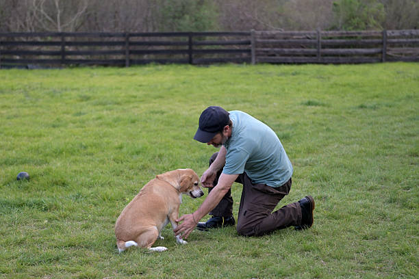 dog sitter playing with his dog and a toy