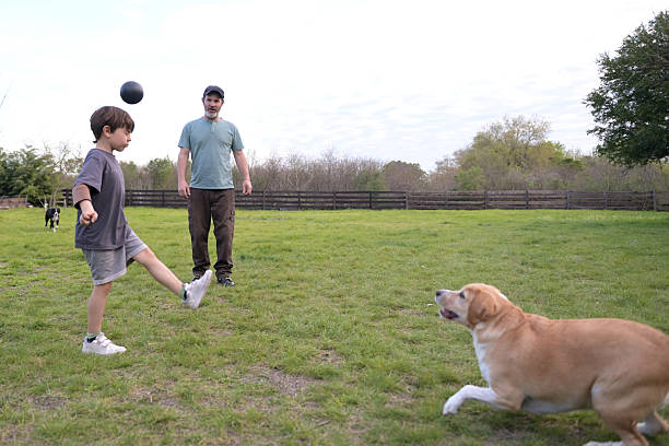 dog sitter and a kid playing with his dog