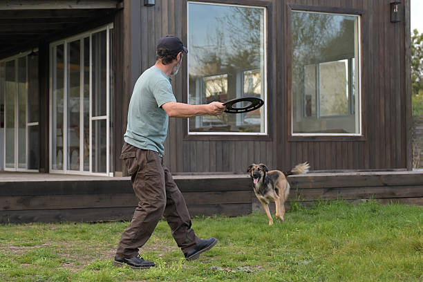 dog sitter playing with his dog and a toy