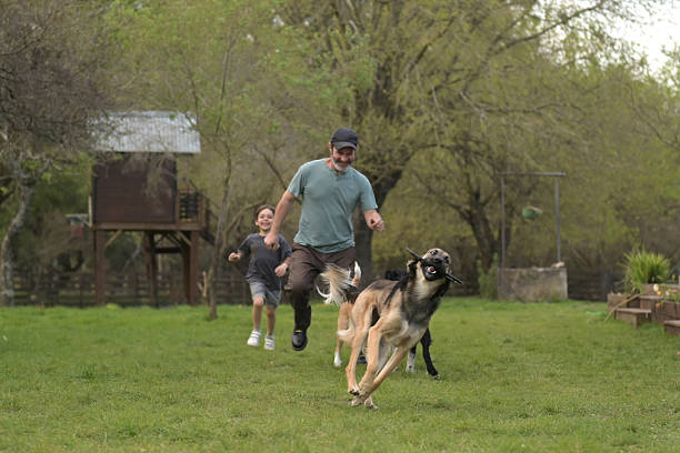 dog sitter and a kid playing with his dogs
