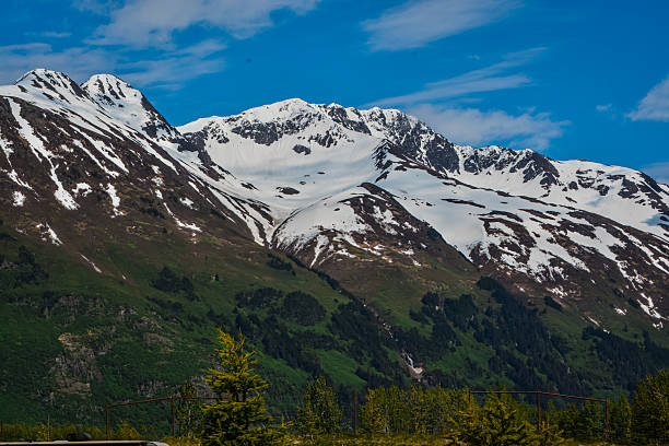 Alaska's glacial majesty dominates the landscape of Kenai Fjords National Park. The glacier crowns a mountain range covered in a dense forest, creating a stunning contrast of ice and greenery in this Alaskan wilderness.