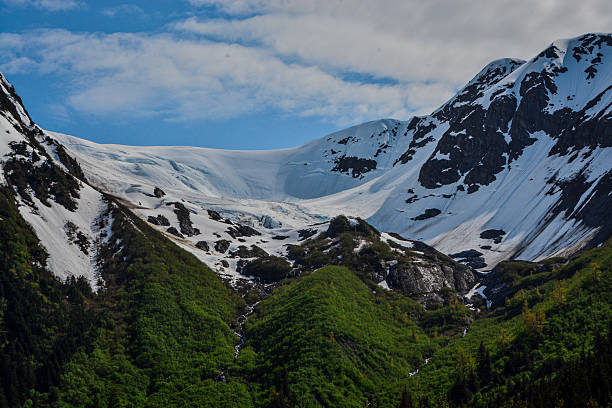 Stunning view of a glacier nestled between steep snowy mountains and green forested slopes. Taken in Alaska, this image showcases dramatic terrain shaped by ice and time. Perfect for geography, climate change, and nature photography.