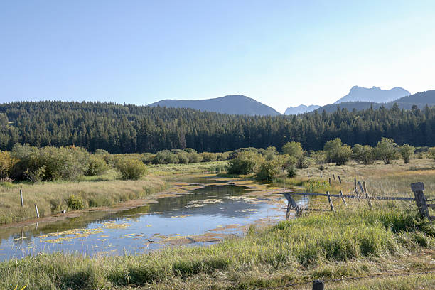 Wetlands, fence and mountain ranges, Crowsnest Pass, Alberta