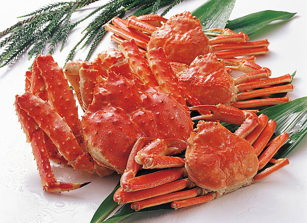 istock King crab and snow crab 2237024023