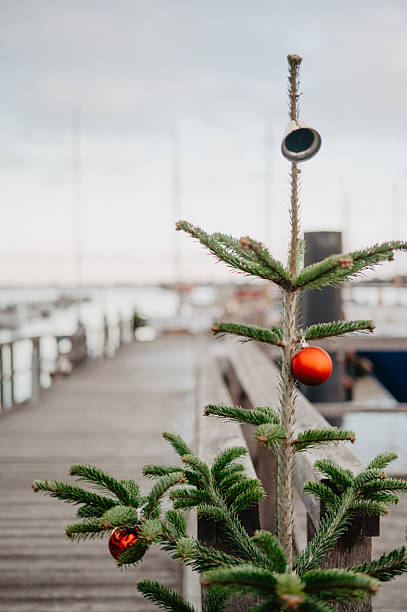 istock Minimalistic Christmas tree with red ornaments outdoors 2237024504
