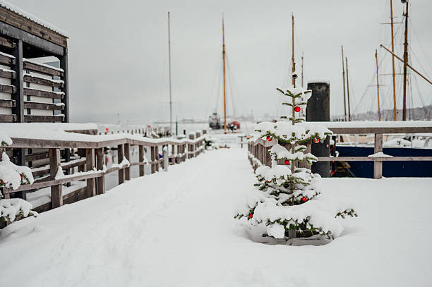 Christmas tree with red ornaments in snowy harbor in Heiligenhafen, Schleswig-Holstein, Germany