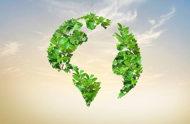 istock World Environment Day and earth day concept. 2237034208