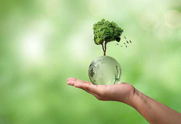 istock Invest in our planet. Earth day and environment day concept background. 2237034507