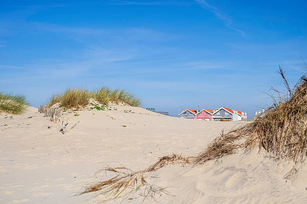 istock Costa Nova do Prado, a Portuguese seaside resort 2237037998