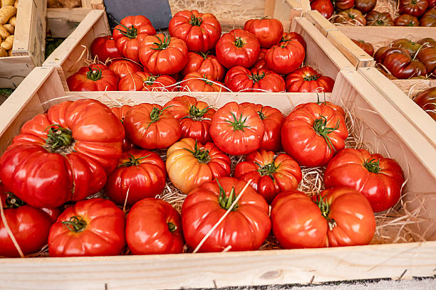 Fresh Red Beefsteak Tomatoes In Wooden Crate Farmers Market